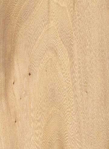 Кедровый вяз (Ulmus crassifolia) – древесина шлифованная