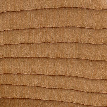 Тис коротколистный (Taxus brevifolia) – волокна древесины, увел. 10х