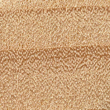 Тополь дельтовидный (Populus deltoides) – волокна древесины (увеличено)