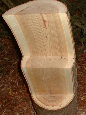 Продольные и поперечные распилы, показывающие строение древесины осины