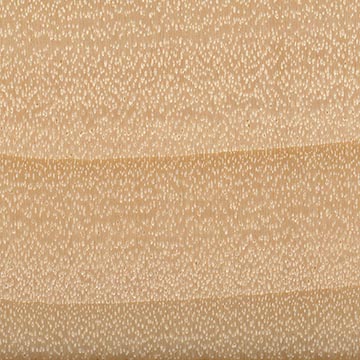Тополь осинообразный (Populus tremuloides) – волокна древесины (увеличено)