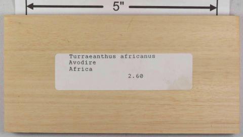 Аводире – Turraeanthus africanus