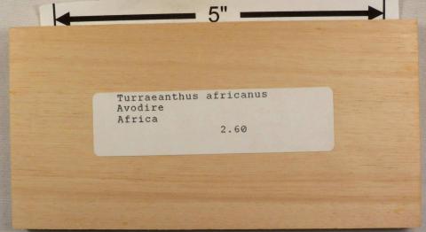 Аводире – Turraeanthus africanus
