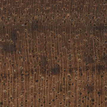 Торец доски – волокна древесины (увел. 10х)